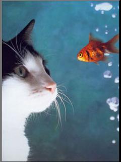 Other Wallpapers 0541